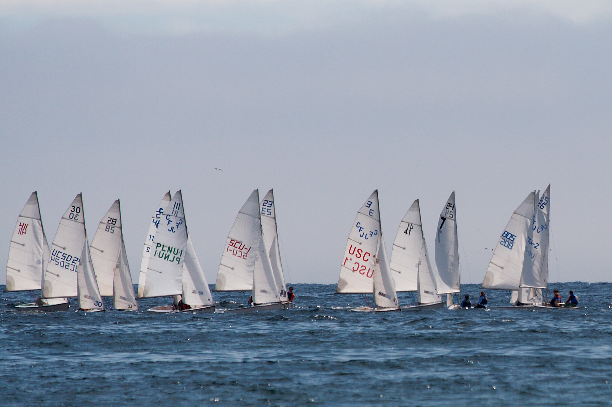 Youth sailboat racing, a fleet of Opti's