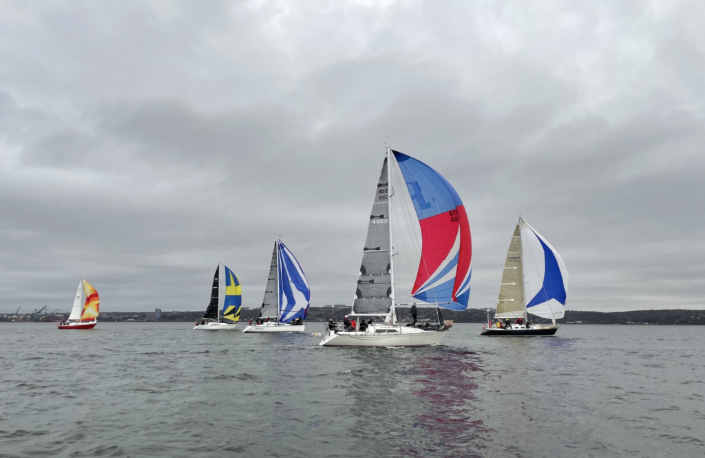 A group of sailboats racing with their spinnakers