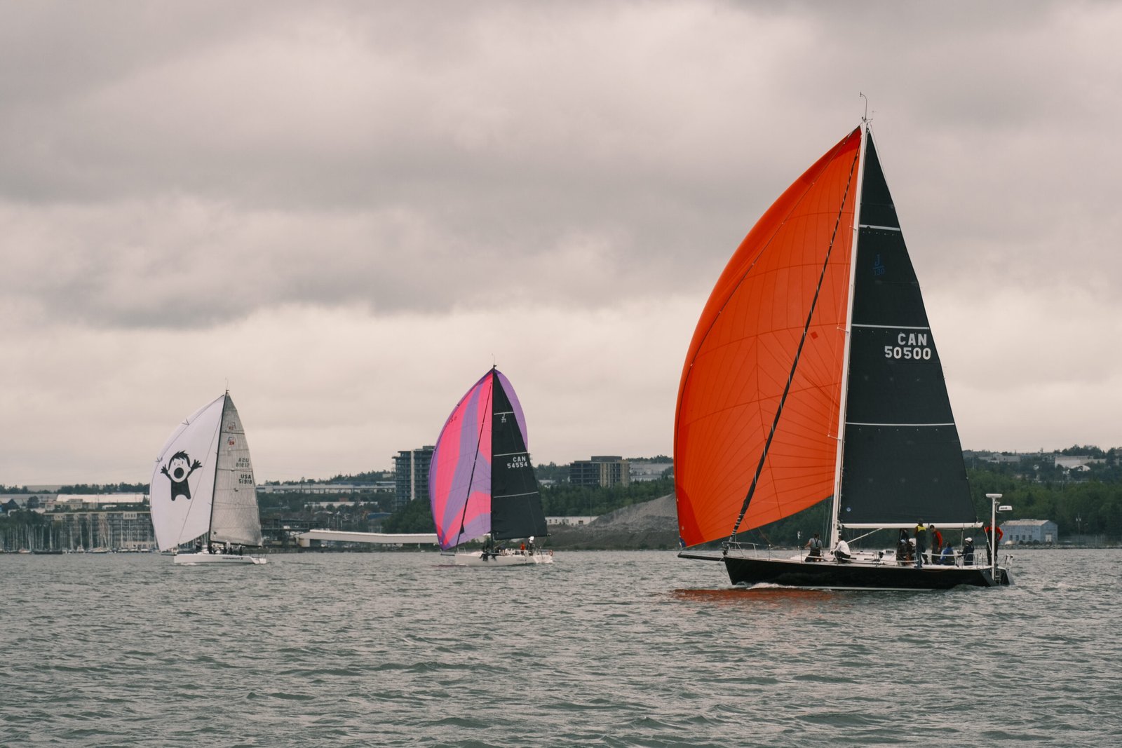 Sailboat racing on the Bedford Basin