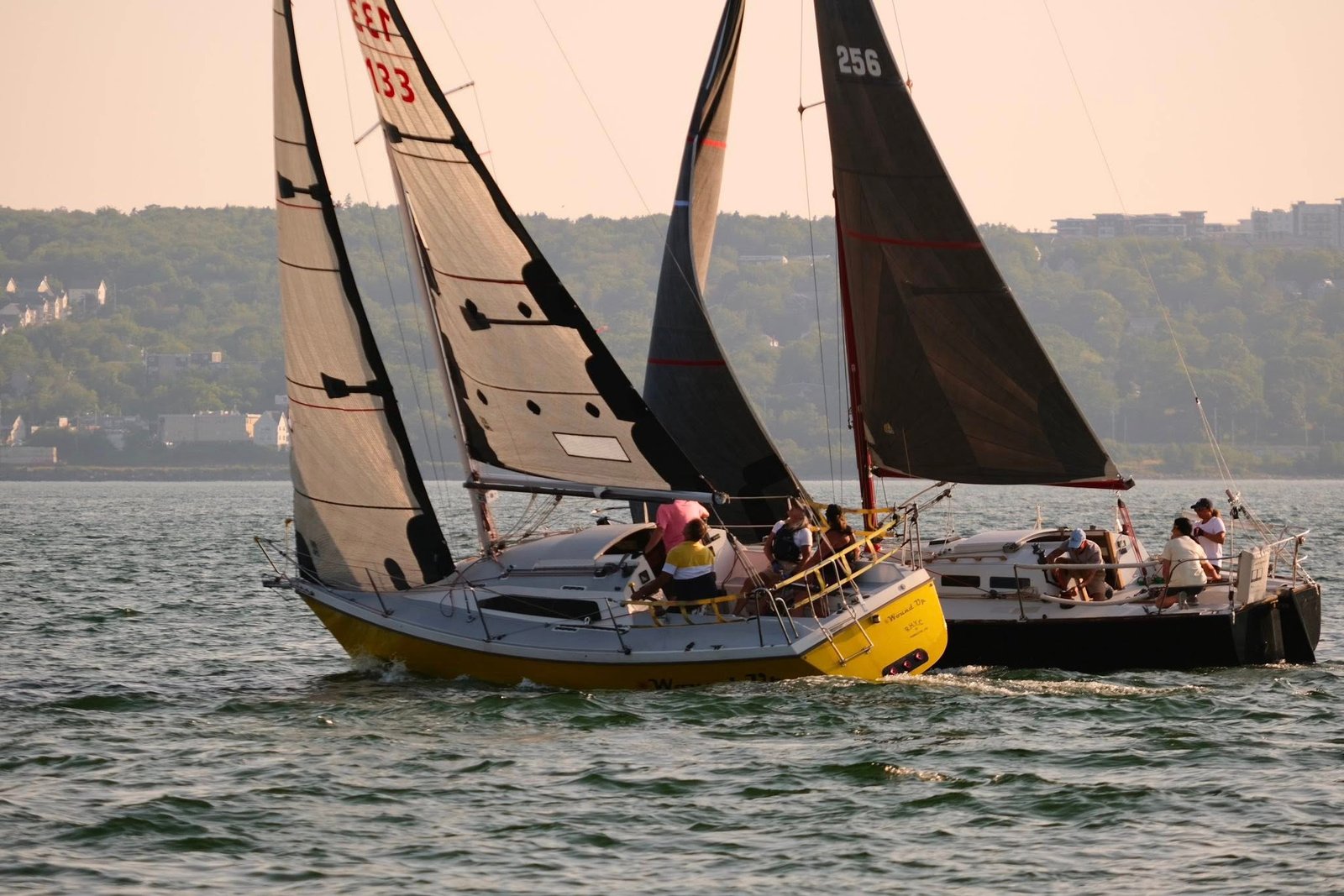 Sailboat racing during club race nights at DYC under a beautiful sunset.